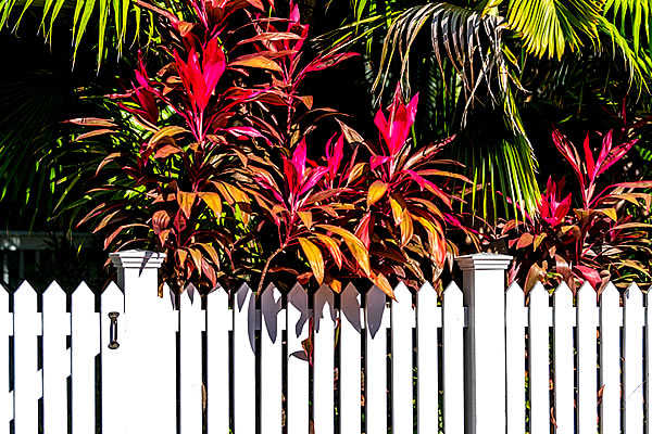 Palm Scapes | Jupiter FL Fence Installation