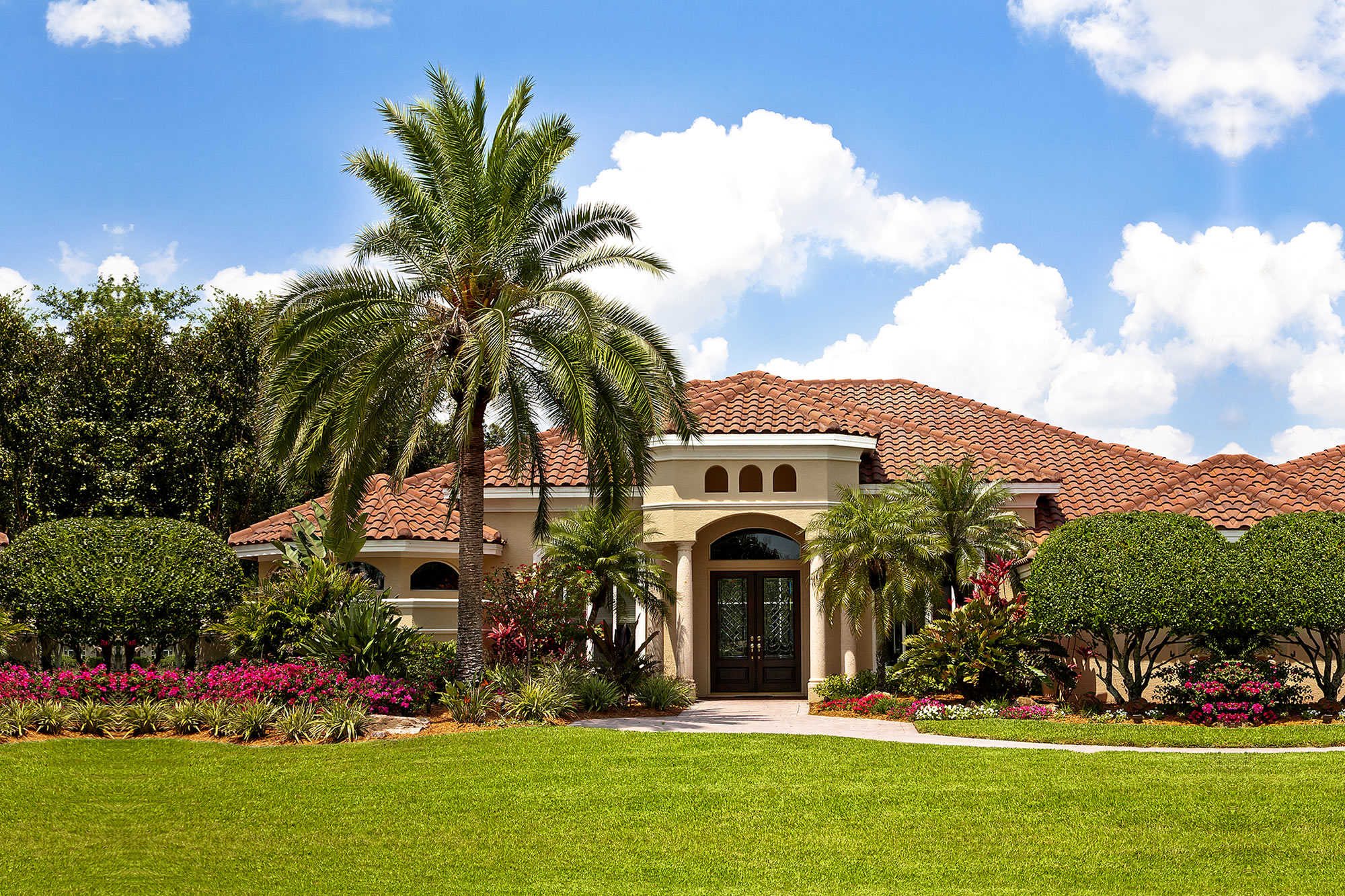 Palm Scapes and Construction - Lawn Maintenance