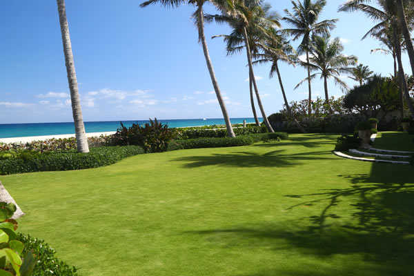 Palm Scapes | Jupiter FL Lawncare Services