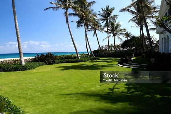 Palm Scapes | Jupiter FL Lawncare Services