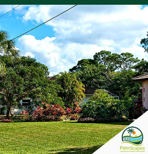 Palm Scapes | Lawn Care & Maintenance for Palm Beach County